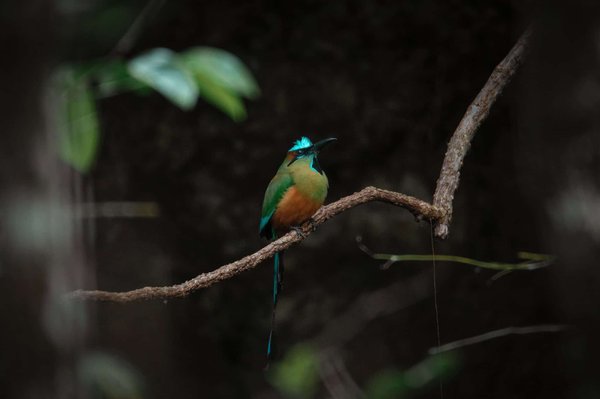 Optimisation du budget Google Ads : comment exploiter les mots-clés efficacement ?